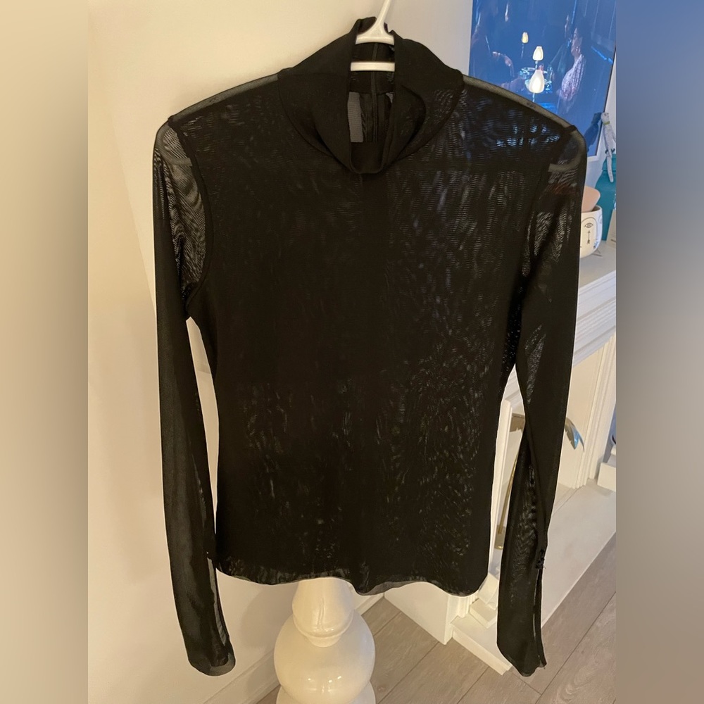 ZARA sheer turtleneck top (large)